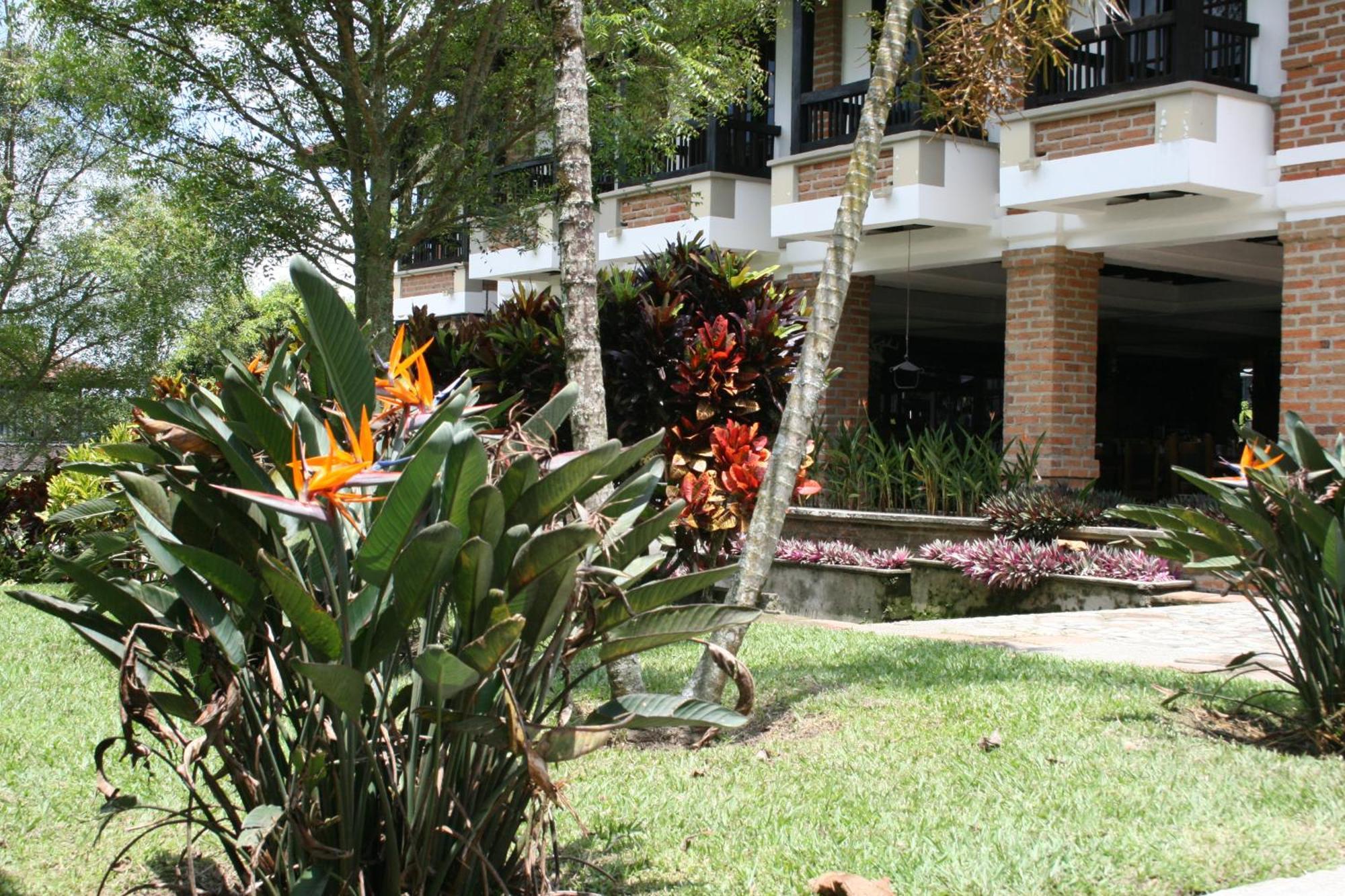 Finca Hotel La Esperanza Montenegro Eksteriør bilde