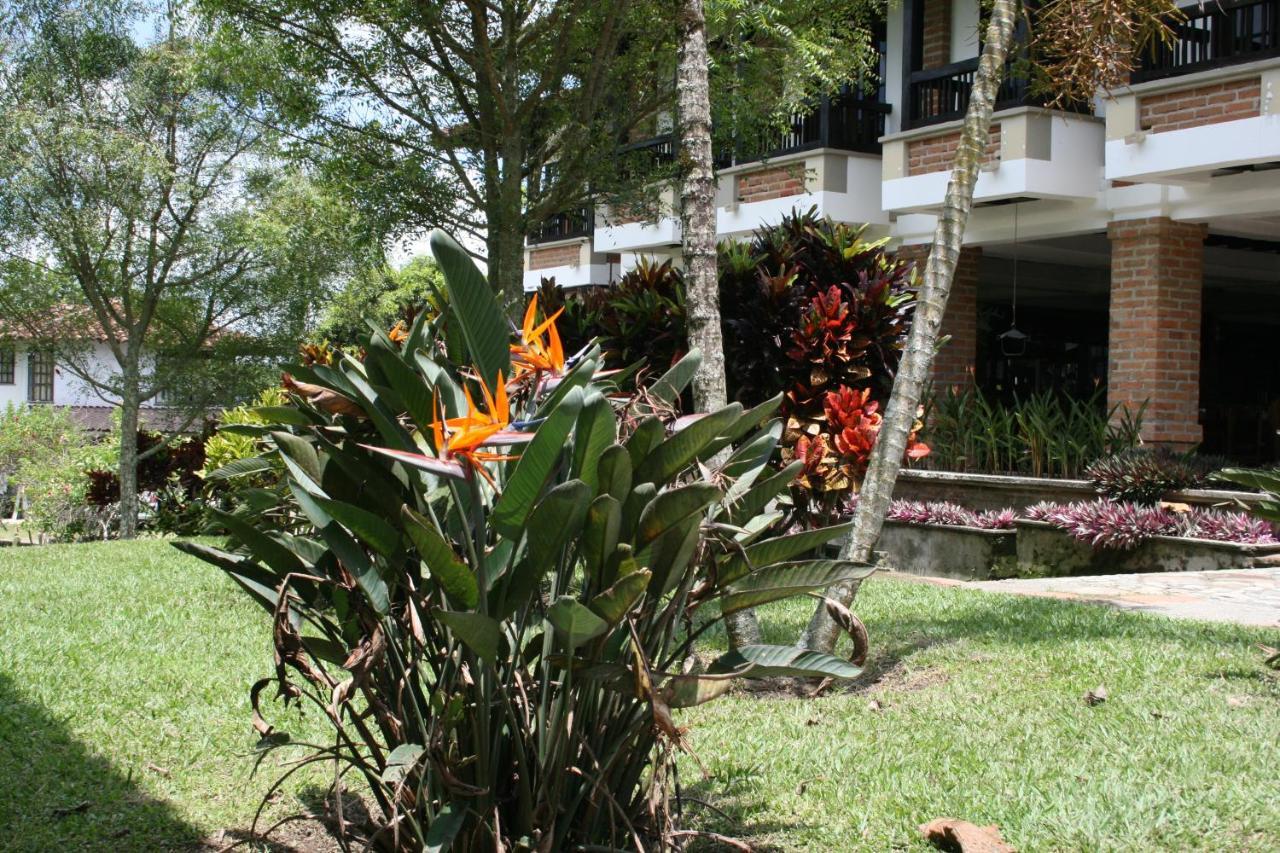 Finca Hotel La Esperanza Montenegro Eksteriør bilde