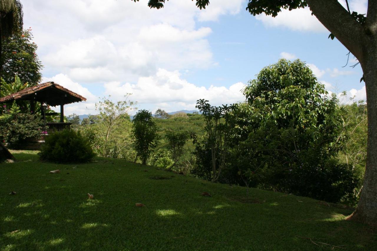 Finca Hotel La Esperanza Montenegro Eksteriør bilde