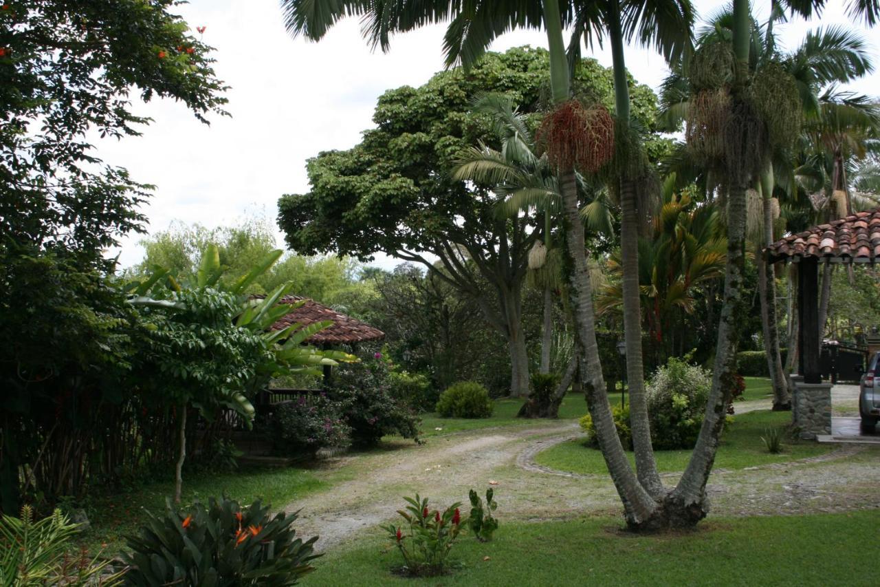 Finca Hotel La Esperanza Montenegro Eksteriør bilde